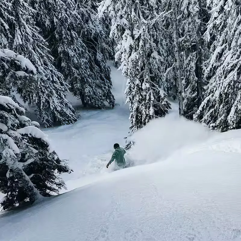 Descenso entre pinos nevados